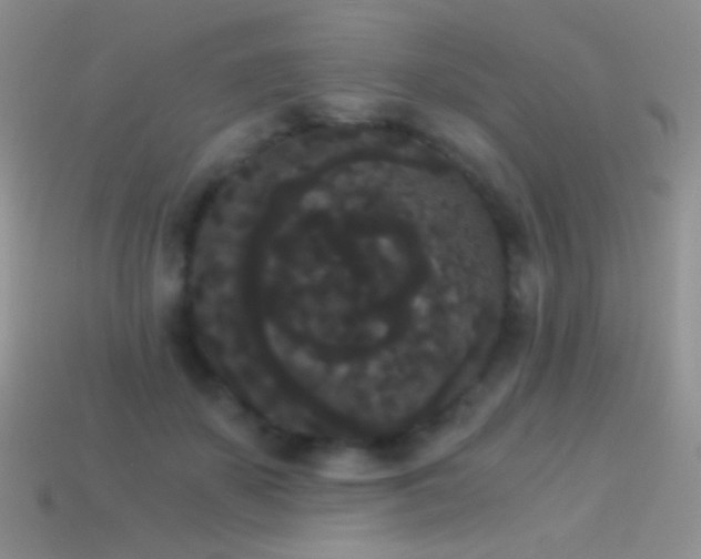 X0000114520507200910191157