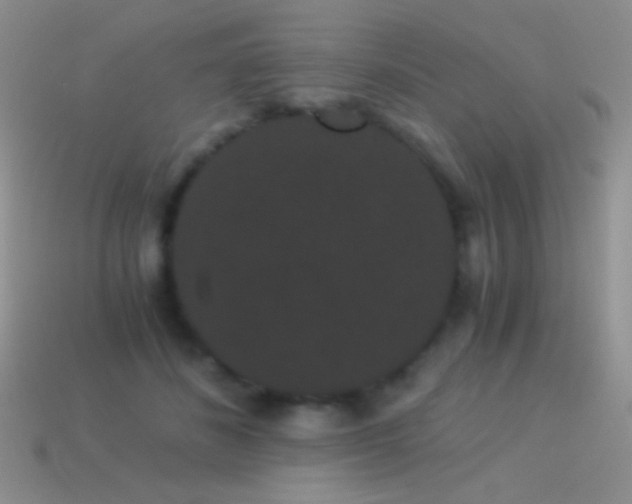 X0000114520508200910191157