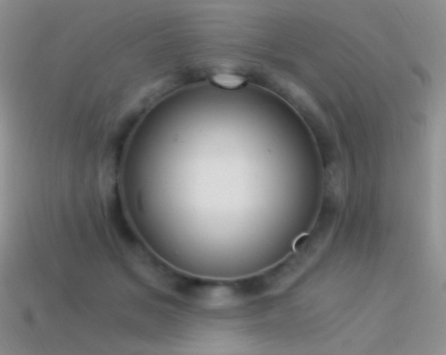 X0000114520509200910191157