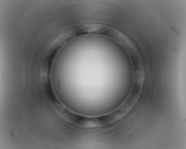 X0000114520510200910191157