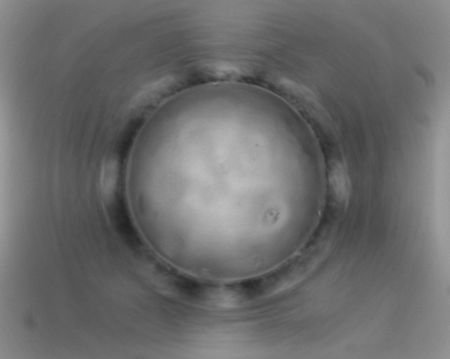 X0000114520511200910191157