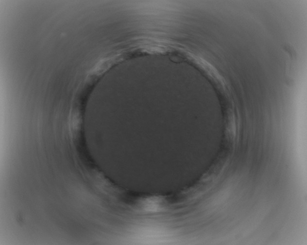 X0000114520513200910191157