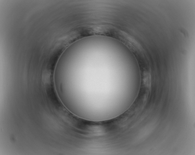 X0000114520514200910191157