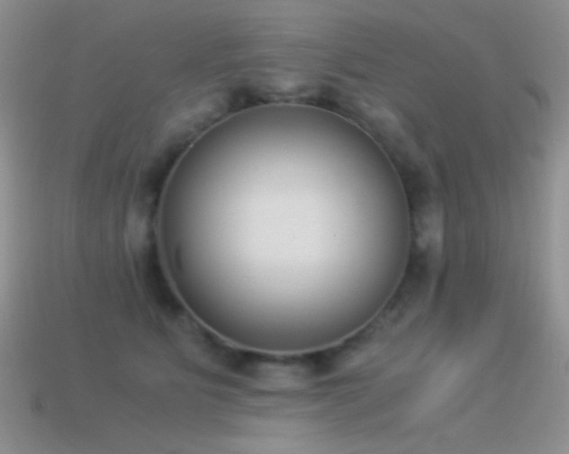 X0000114520515200910191157