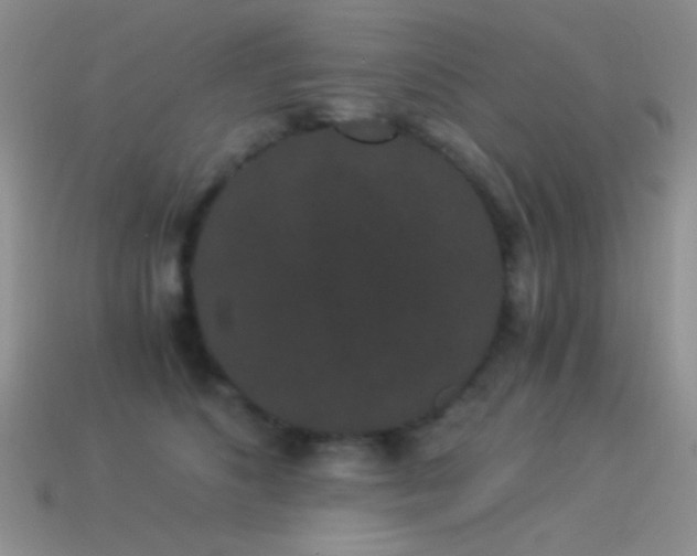 X0000114520516200910191157