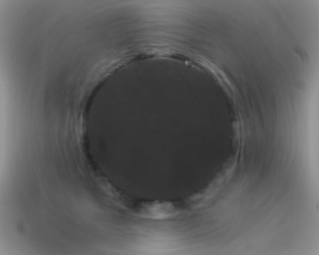 X0000114520517200910191157