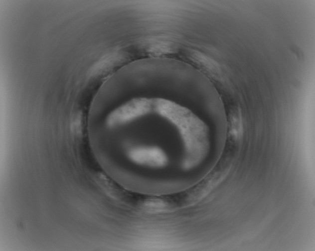 X0000114520519200910191157