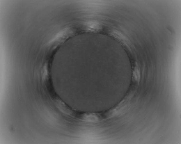 X0000114520520200910191157