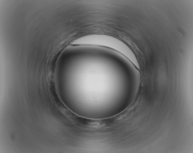 X0000114520521200910191157