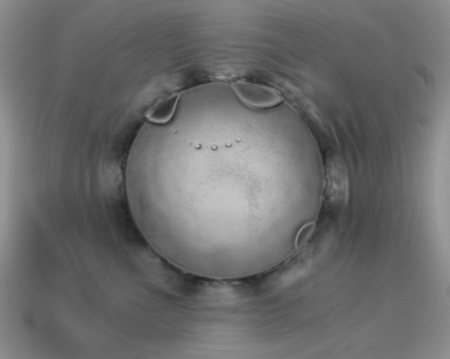 X0000114520523200910191157