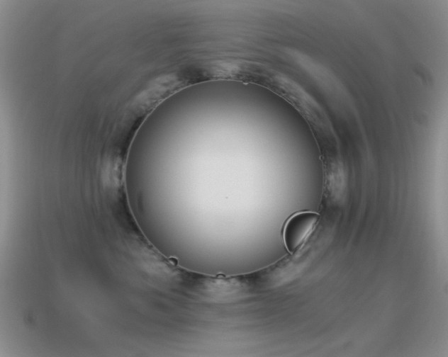 X0000114520525200910191157