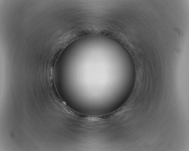 X0000114520528200910191157