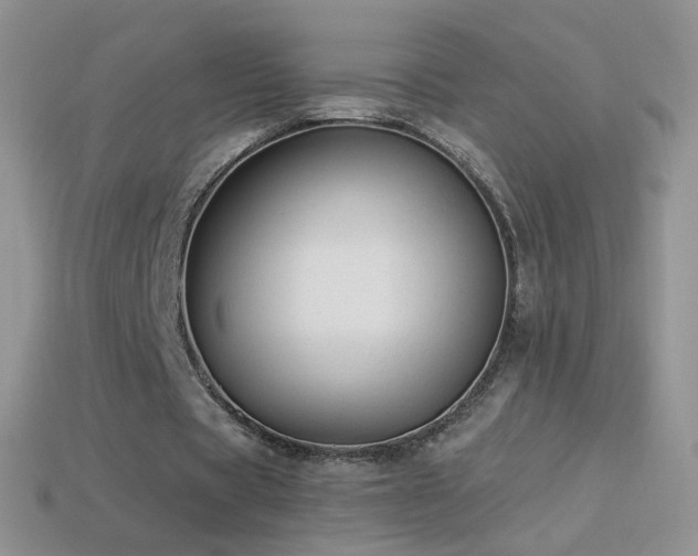 X0000114520529200910191156