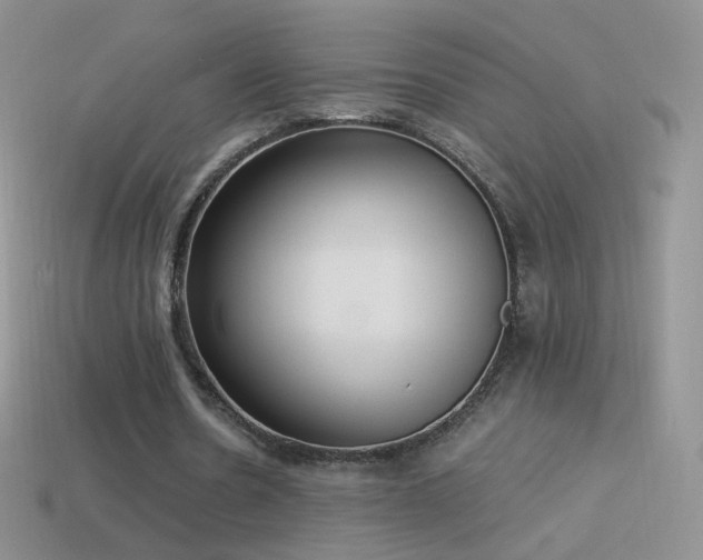 X0000114520530200910191156