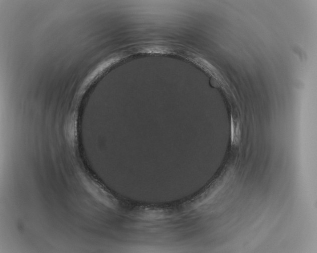 X0000114520531200910191156