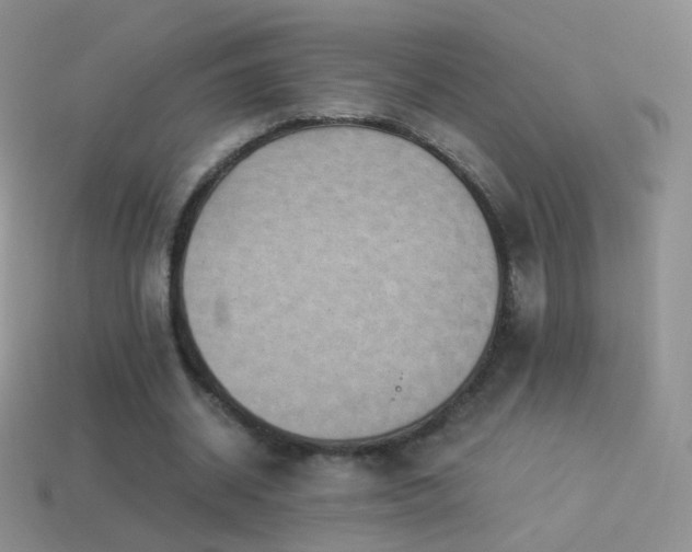 X0000114520534200910191156