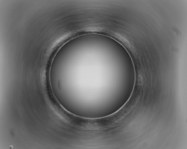 X0000114520535200910191156