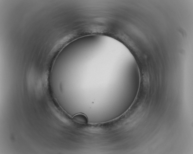 X0000114520537200910191157