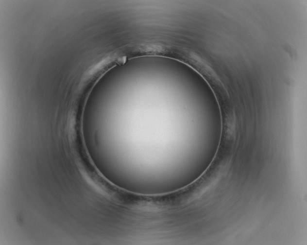 X0000114520538200910191157