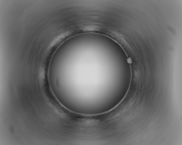 X0000114520539200910191157