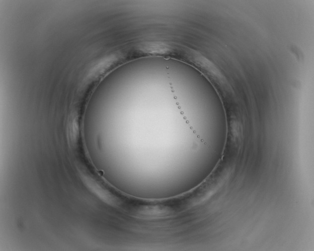 X0000114520541200910191157