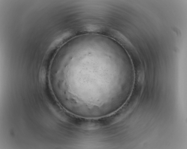 X0000114520542200910191157