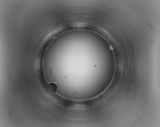 X0000114520543200910191157