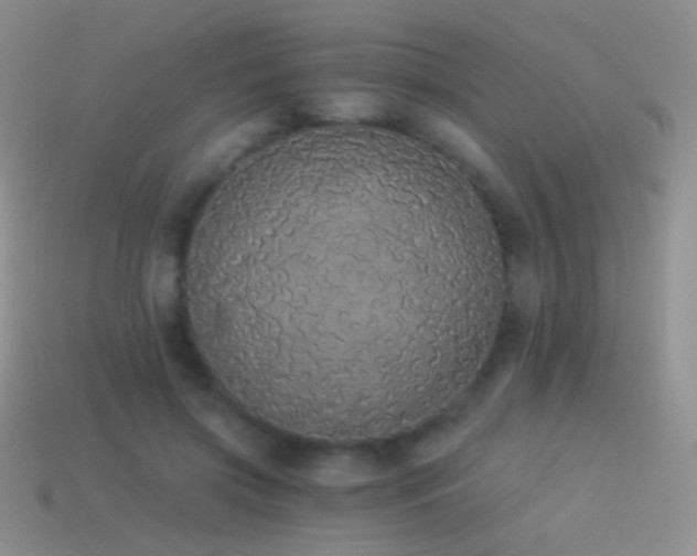 X0000114520549200910191157