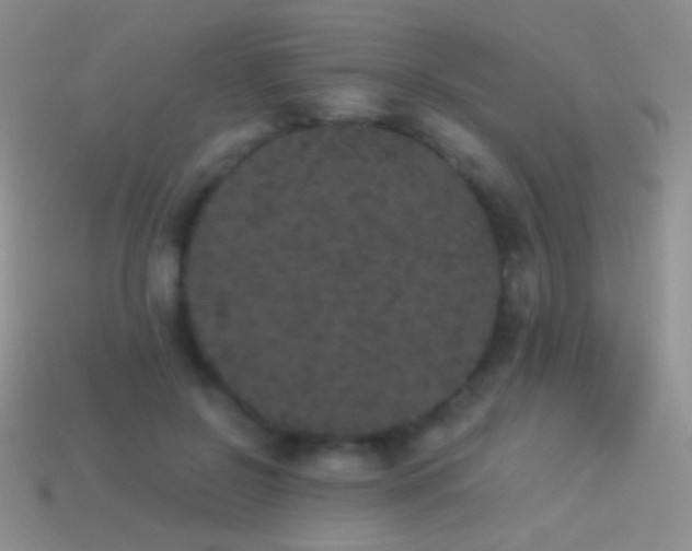 X0000114520550200910191157