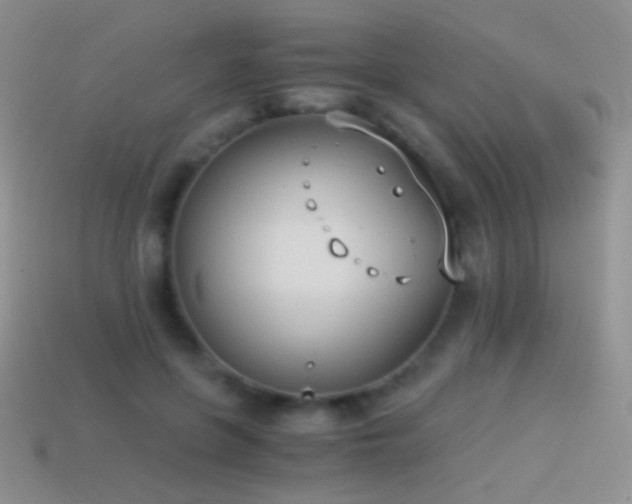 X0000114520551200910191157