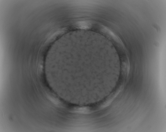 X0000114520553200910191157