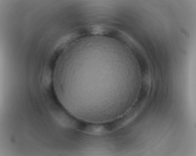 X0000114520554200910191157