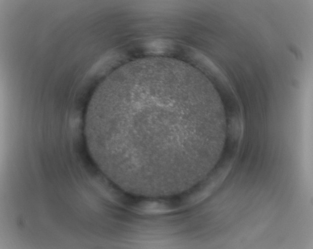 X0000114520557200910191157