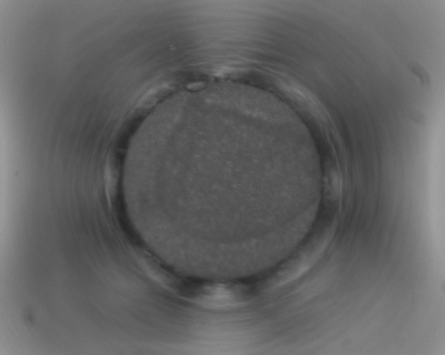 X0000114520558200910191157