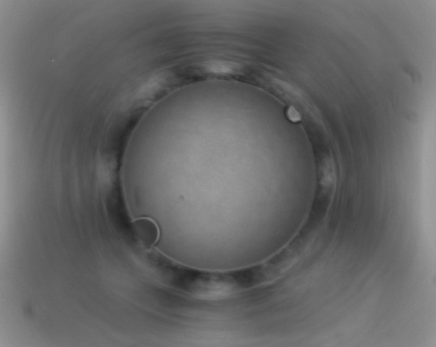 X0000114520559200910191157