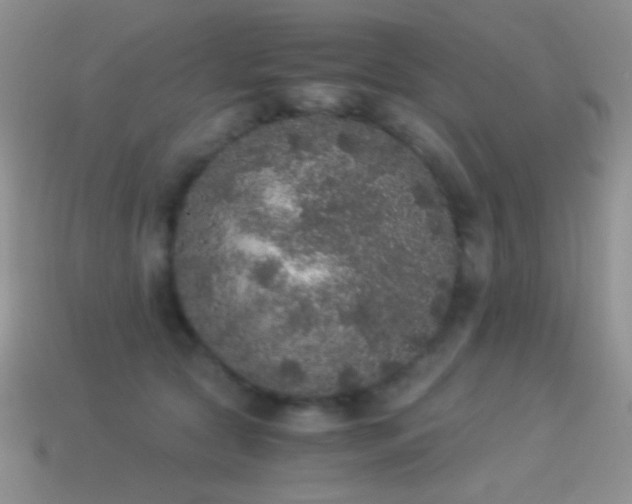 X0000114520561200910191157