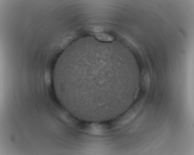 X0000114520562200910191157