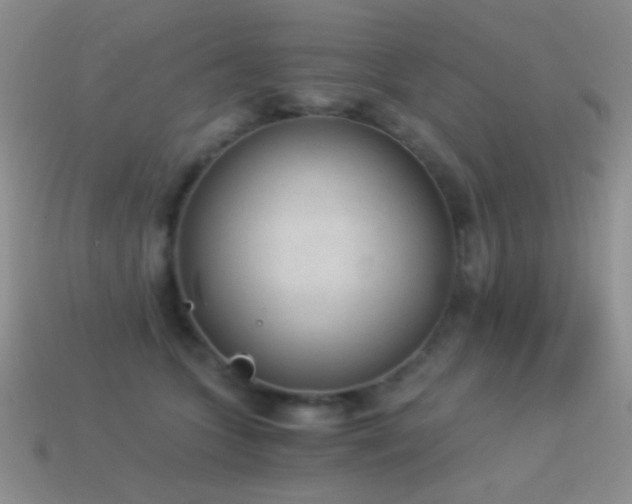 X0000114520563200910191157