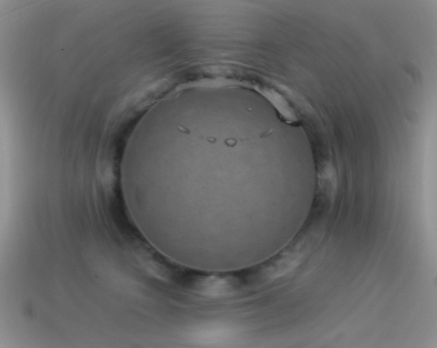 X0000114520566200910191157