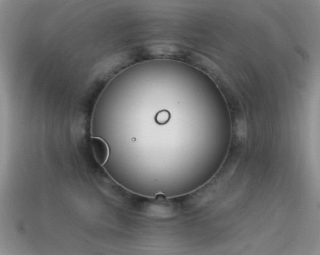 X0000114520567200910191157