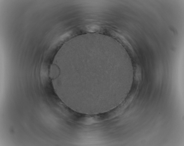 X0000114520569200910191157