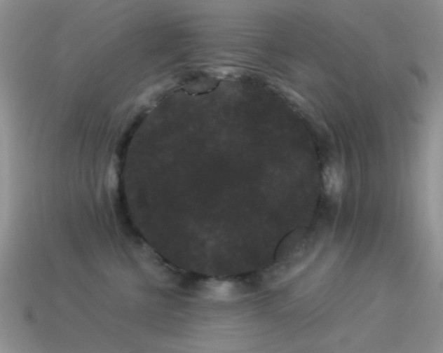 X0000114520570200910191157