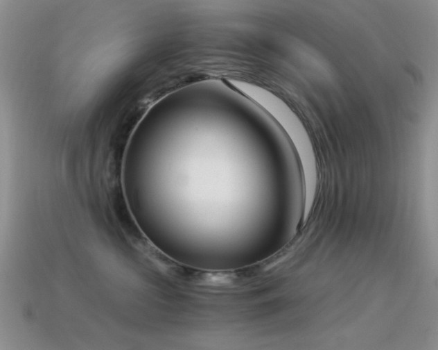 X0000114520573200910191157