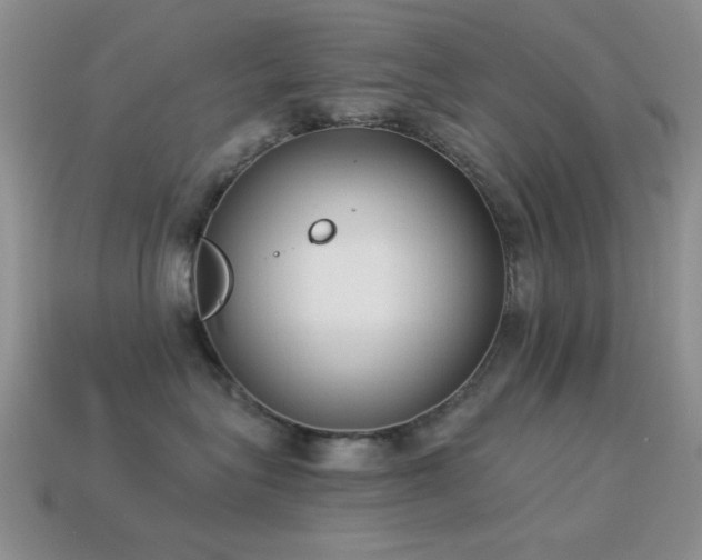 X0000114520575200910191157