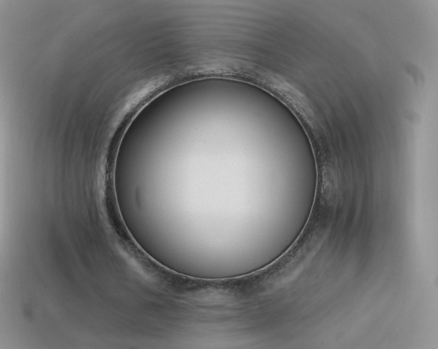 X0000114520578200910191156