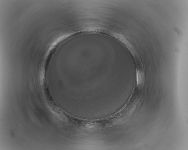 X0000114520579200910191156