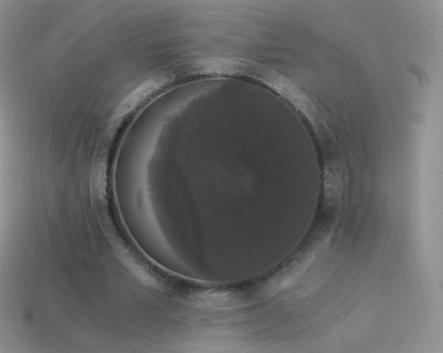 X0000114520581200910191156