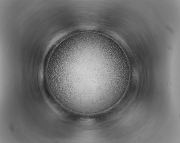 X0000114520582200910191156