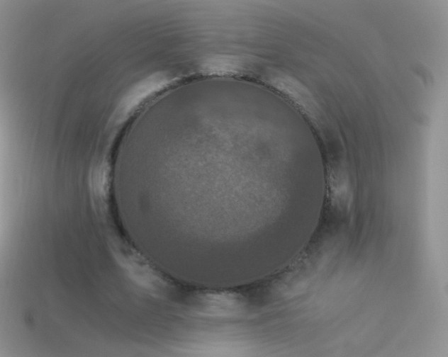 X0000114520583200910191156