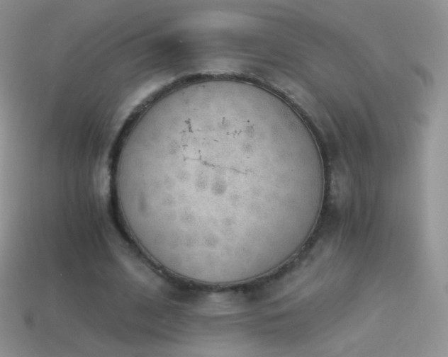 X0000114520584200910191156